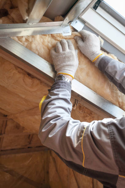 Best Commercial Insulation in Bishop, TX