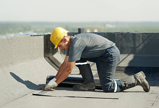 Best Insulation Installation Services in Bishop, TX